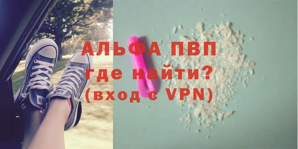 стаф Белокуриха