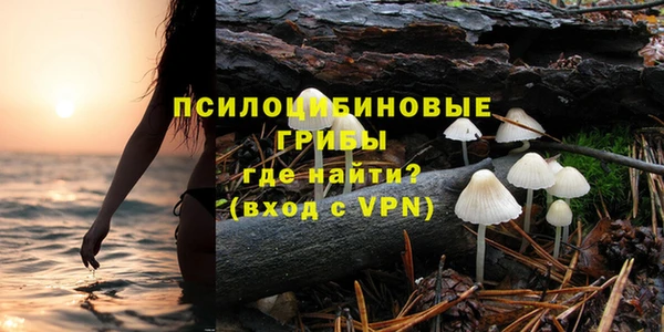 стаф Белокуриха