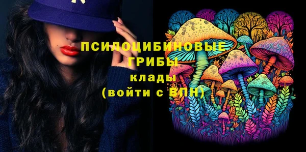 стаф Белокуриха