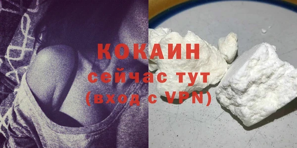 стаф Белокуриха