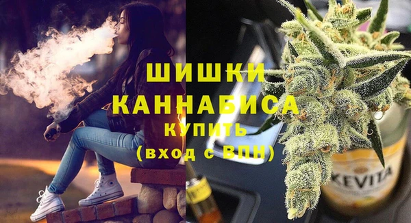 стаф Белокуриха