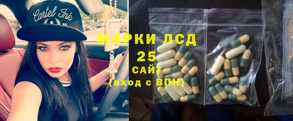 PSILOCYBIN Беломорск