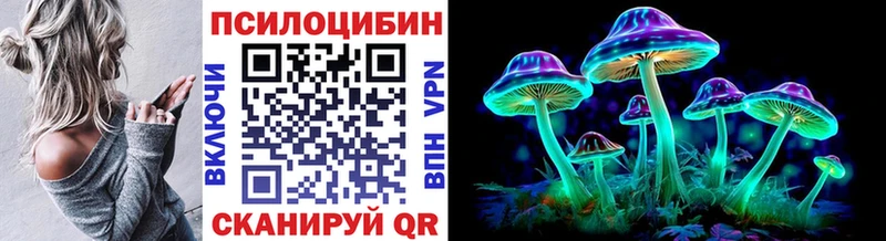 где купить наркотик  hydra как зайти  Галлюциногенные грибы MAGIC MUSHROOMS  Верещагино 